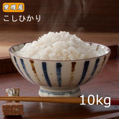 新米 10kg 送料無料 「愛媛県産 コシヒカリ 10kg」こしひかり 10キロ （5kg小分け不可）爆買
