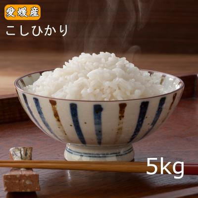 新米 5kg  送料無料 「愛媛県産 コシヒカリ 5kg」  こしひかり 5キロ  令和8年産 爆買
