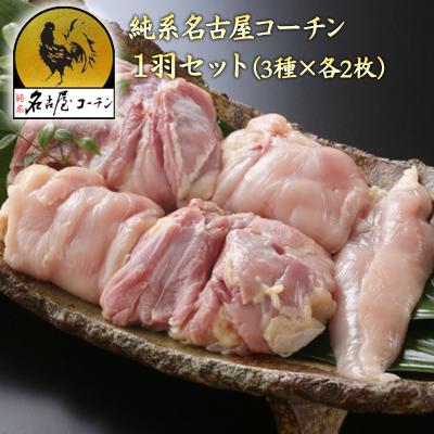 純系 名古屋コーチン 朝引き 1羽セット ( もも肉 むね肉 ささみ )各2枚 国産 高級 地鶏 生肉 鶏肉 業務用 ギフト 【 800g 冷蔵 】