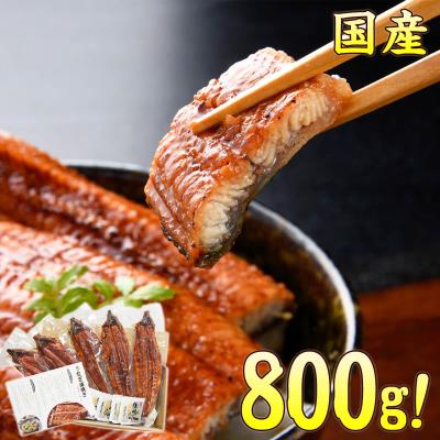 うなぎ 蒲焼き 国産 4〜5尾/合計800g 送料無料 有頭 真空包装 鰻 うなぎ ひつまぶし unagi800 贈答 ギフト