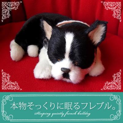 注目ショップ ブランドのギフト リアルな犬のぬいぐるみ ボストンテリア ぬいぐるみ Www We Job Com