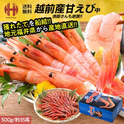 甘エビ 甘えび 中 子持ち 刺身 500g 約35尾 冷凍 越前甘エビ 福井県 ギフト お年賀
