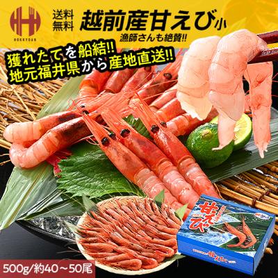 甘エビ 甘えび 子なし 小 刺身 500g 約40〜50尾 冷凍 越前甘エビ 福井県 ギフト お年賀