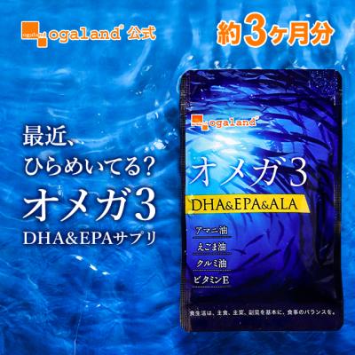 オメガ3（約3ヶ月分）DHA EPA α-リノレン酸 不飽和 脂肪酸 サプリ あまに油 えごま油 サプリ 魚 美容 健康 生活習慣 ポイント利用
