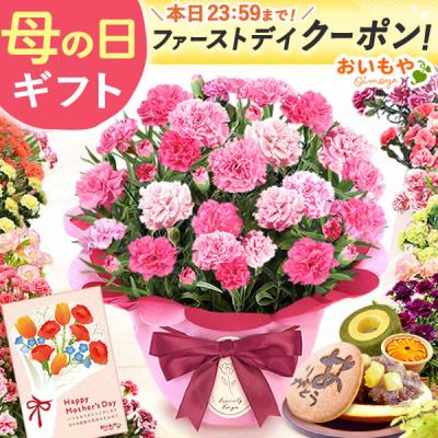 母の日 ギフト 花 カーネーション 2026 早割 プレゼント 鉢植え 花鉢 母の日ギフト 5号鉢 花とスイーツ お菓子 スイーツ 50代 60代 70代 80代