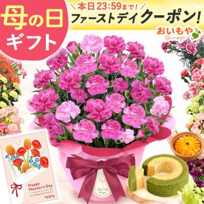 母の日 花 ギフト 早割 カーネーション 2026 プレゼント 鉢植え 5号 花鉢 お菓子 スイーツ 花とスイーツ 50代 60代 70代 沖縄配送可（離島除く）