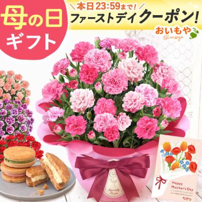 母の日 ギフト 早割 2026 花とスイーツ プレゼント 花 スイーツ カーネーション 鉢植え 花鉢 お菓子 食べ物 バターサンド 50代 60代 70代 80代