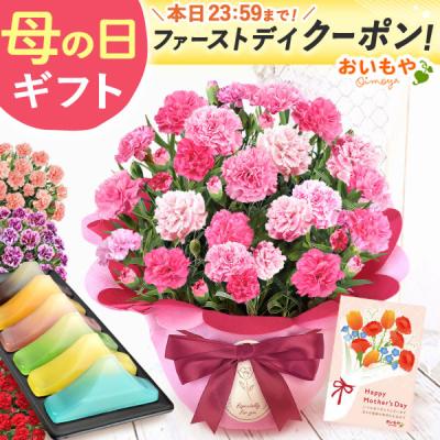 母の日 花とスイーツ ギフト 2026 カーネーション プレゼント 花 早割 スイーツ ようかん 富士山 鉢植え 花鉢 お菓子 食べ物 豪華 おしゃれ