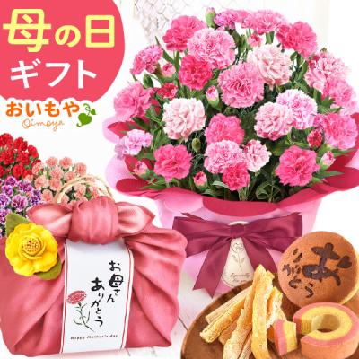 母の日 2026 ギフト 早割 花 花とスイーツ プレゼント スイーツ ギフトセット 籠バッグ 和菓子 カーネーション 鉢植え お菓子 60代 70代 80代