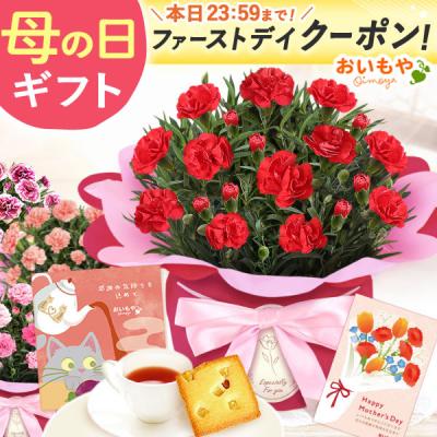 母の日 2026 ギフト プレゼント 早割 カーネーション 花とスイーツ スイーツ 花 4号 鉢植え 花鉢 お菓子 おしゃれ セット 50代 60代 70代 80代