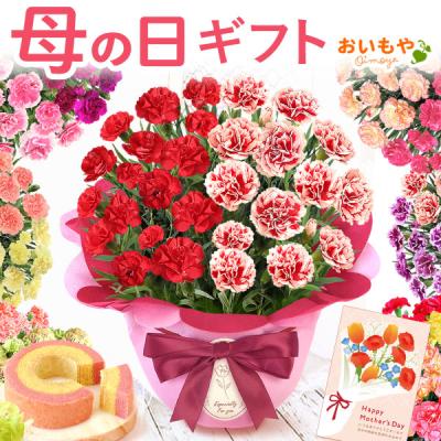 母の日 ギフト 花 カーネーション 2026 プレゼント 鉢植え 5号 2色植え お菓子 スイーツ 母の日ギフト 食べ物 セット 花とスイーツ 60代 70代