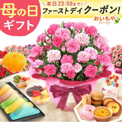 母の日 ギフト 花 2026 カーネーション プレゼント 鉢植え 早割 スイーツ 花とスイーツ 5号 お菓子 和菓子 食べ物 セット 50代 60代 70代 80代