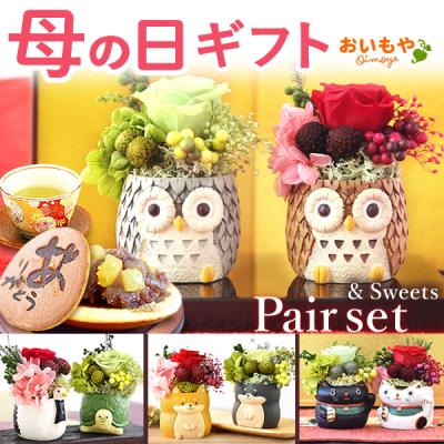 母の日 ギフト プレゼント 2026 花 お菓子 スイーツ 花とスイーツ プリザーブドフラワー 和菓子 ミニ ペア 動物 ふくろう 犬 50代 60代 70代
