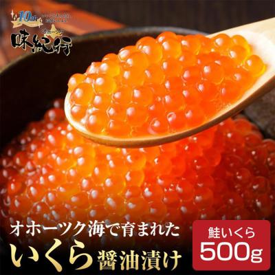 いくら 醤油漬け 500g イクラ 北海道 お取り寄せ 鮭いくら 海鮮 グルメ 天然 ギフト