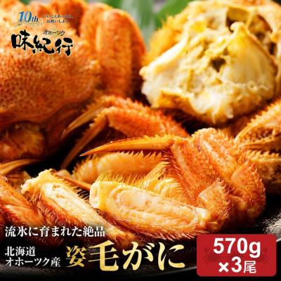 毛ガニ 毛蟹 北海道 かに 蟹 カニ 約570g 3尾 鍋 お取り寄せ けがに 毛がに 海鮮 贈り物 ギフト