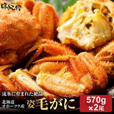 毛ガニ 北海道産 約570g×2尾入 お歳暮 ボイル済 送料無料 ギフト 毛蟹 毛がに カニ かに