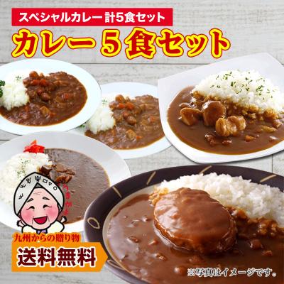 セール 当店で今人気のスペシャルカレー5食セット 本格 オススメ ご当地カレー 送料無料 福岡  食べきり 5食 エコ包装 非常食 ポイント利用 爆買 ポイント消化