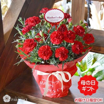 母の日 ギフト 花 赤いカーネーションの鉢花 5号鉢 2025母の日プレゼント 花 ギフト 花鉢 母の日 カーネーション 赤 鉢カバー付き 花 お母さん お義母さん