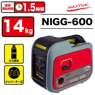 100 安い ナカトミ インバーター発電機 カセットボンベ式 Nigg 600 法人向け 個人宅配送不可 用具 工具 Indonesiadevelopmentforum Com