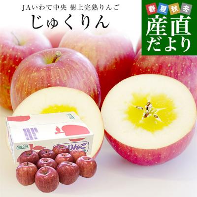 【お歳暮 ギフト】岩手県から産地直送 JAいわて中央 樹上完熟りんご「じゅくりん」等級：〇秀以上 約2.5キロ（8玉から10玉）送料無料 りんご 林檎 リンゴ