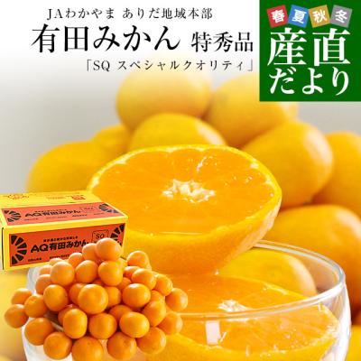 【お歳暮 ギフト】和歌山県より産地直送 JAわかやま ありだ地域本部 有田みかん 糖度12度以上 特秀品「SQ スペシャルクオリティ」LからS 5キロ(40玉から60玉)