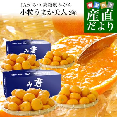 佐賀県より産地直送 JAからつ 小粒うまか美人 高糖度みかん 2Sから3Sサイズ 約2キロ×2箱 送料無料 U・M・K美人 蜜柑 温州ミカン