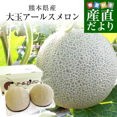 【お歳暮 ギフト】熊本県産 アールスメロン　約3.5キロ 化粧箱(２玉入り) 送料無料 めろん