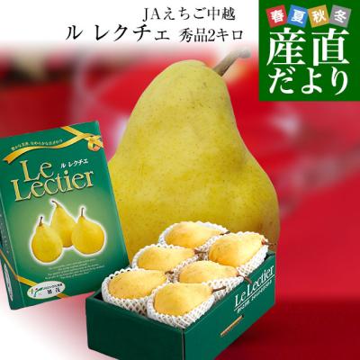 【お歳暮 ギフト】新潟県産 ル レクチェ 秀品 2キロ(4玉から7玉) 洋ナシ 洋梨 ル・レクチェ 冬ギフト 御歳暮 送料無料