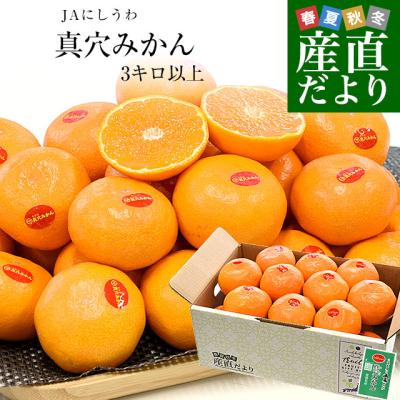 【お歳暮 ギフト】愛媛県 JAにしうわ 真穴みかん 3キロ以上2Lサイズ（21玉) 送料無料 ミカン 蜜柑 愛媛みかん 市場発送