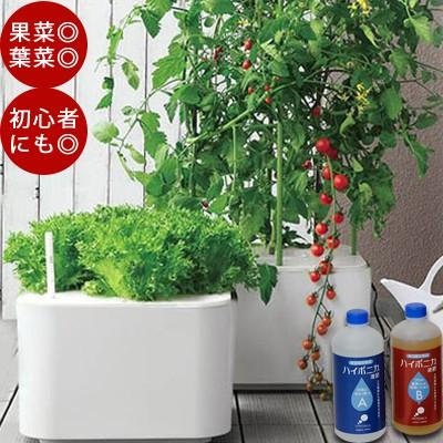 水耕栽培 ホームハイポニカ Masuco マスコ 水耕栽培キット 野菜 花 イチゴ肥料 スポンジ トマト Tokilabo Paypayモール店 通販 Paypayモール