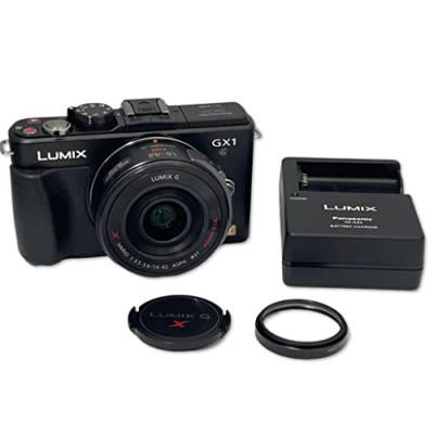 カメラ デジタルカメラ パナソニック ルミックス LUMIX GX1 DMC-GX1X-K レンズキット 