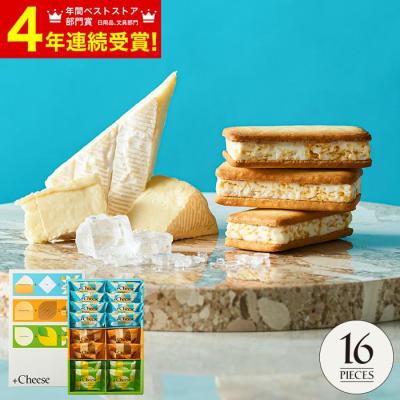 バレンタイン 2026 +Cheese プラスチーズ 16個 送料無料（包装済、のしは外のし） お菓子 スイーツ ギフト プレゼント 入学内祝い