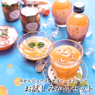 お試しセット 食品 ジュース ゼリー スムージー 新お試しみかんセット 飲むみかん 有田 和歌山 早和果樹園 まるごと みかん 送料無料