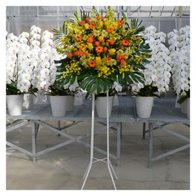 スタンド花 1段 花ボリュームアップ 13 000円 税別 180cm位 設置 回収無料 東京都 神奈川県 大阪府 名古屋市 福岡市 お祝い 開店 開業 開院 花 Stde St Ws スタンド花専門 海老名洋蘭園 通販 Yahoo ショッピング