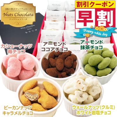 バレンタイン 2026 ナッツチョコレート 人気 チョコ プレゼント お菓子 ギフト ナッツ 小分け キャラメル 詰め合わせ ナッツチョコ 贅沢ナッツショコラータ15袋