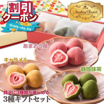 バレンタイン チョコレート 2026 ギフト お菓子 人気 プレゼント 低糖質 苺 チョコ 詰め合わせ 小分け キャラメル 抹茶 贅沢ストロベリーショコラータ3種セット