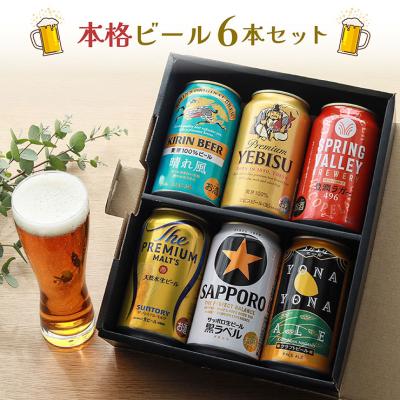 バレンタイン ギフト 2026 本格ビール 6本セット 350ml 6種 クラフトビール 誕生日 お祝い 飲み比べ  エビス スプリングバレー 送料無料