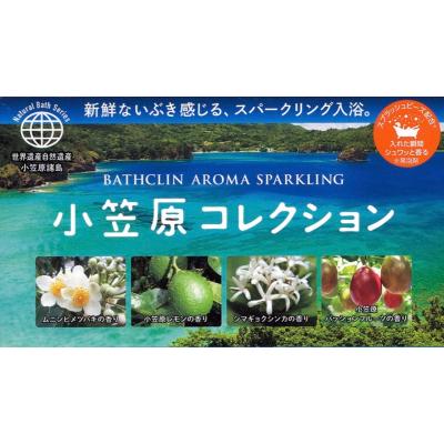 バスクリン バスクリン アロマスパークリング 小笠原コレクション 1箱 12包入 1 浴用入浴剤 最安値 価格比較 Yahoo ショッピング 口コミ 評判からも探せる