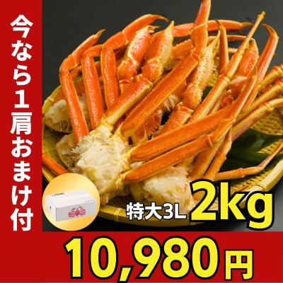 かに カニ 蟹 ずわいがに ボイル 脚 特大 山盛2kg 【評判グルメに選ばれました！】 5-7肩/3-4人前 ギフト お歳暮 贈りもの