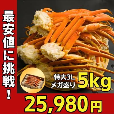 かに カニ 蟹 ずわいがに ボイル 脚 特大  山盛 5kg 12-16肩/5-7人前 ギフト お歳暮 贈りもの