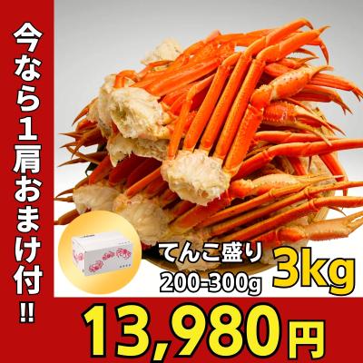 かに カニ 蟹 ずわいがに ボイル 脚 3kg 【評判グルメ】 10-13肩/5-6人前 ギフト お歳暮 贈りもの ズワイガニ かに カニ 蟹