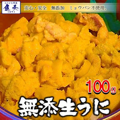 うに 100g 雲丹 冷凍生うに 無添加 ミョウバン不使用 うに丼2杯分 寿司 北海丼 在宅 母の日 父の日 歳末 お歳暮 年末グルメ 贈答 迎春