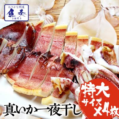 真いか 一夜干し 特大サイズ4枚 北海道産 稚内  スルメイカ 烏賊 やわらか 在宅 母の日 父の日 敬老 歳末 お歳暮 年末グルメ 贈答 迎春