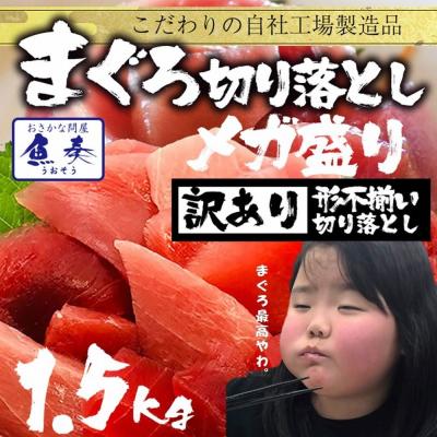 まぐろ マグロ 鮪 訳あり 刺身 メガ盛り 切り落し 500g×3P 冷凍 鉄火丼 家飲み まぐろ丼 海鮮 歳末 お歳暮 年末グルメ 贈答 迎春