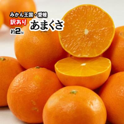 あまくさ 箱買い 天草 紅まどんな ご家庭用 親品種 S〜3L 2ｋｇ 送料無料