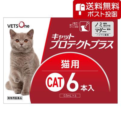 【ネコポス(同梱不可)】ベッツワン キャットプロテクトプラス 猫用 6本 (動物用医薬品)