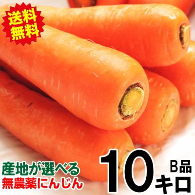 クーポンで10%引き！2580円〜 にんじん 人参 10kg 無農薬 人参 送料無料 訳あり 10キロ 有機人参 産地が選べる 無農薬にんじん ニンジンジュースに最適