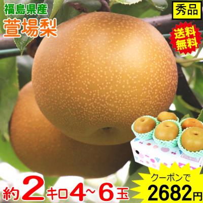 クーポンで10%引き！福島 梨 ナシ 約2kg 4玉-6玉 送料無料 2個注文で5kgでお届け！秀品/ギフト 萱場 梨 和梨 贈答 ギフト 和梨 fruit