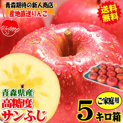 青森 りんご 5kg箱 サンふじ 家庭用 送料無料 リンゴ 訳あ り 5キロ箱 ギフト★サンふじ 家 5kg箱