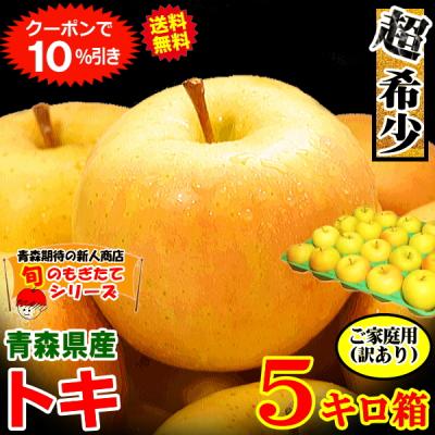 クーポンで10%引き！青森 りんご 5kg箱 トキ 送料無料 サンふじと王林の交配種 家庭用/訳あり 青森 リンゴ 5キロ箱 訳あり★トキ 家訳 5kg箱